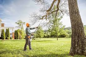 Best Emergency Tree Removal  in East Providence, RI